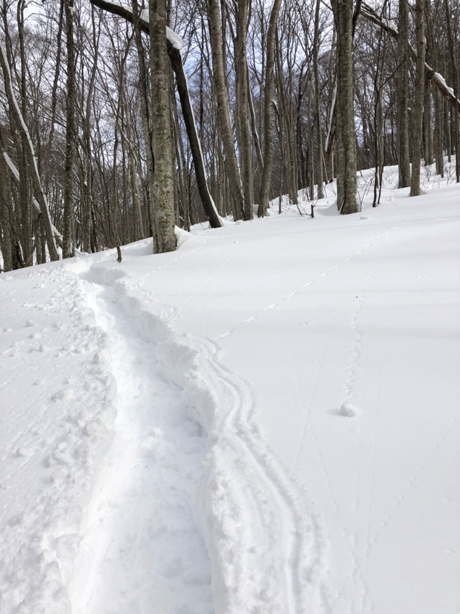 f:id:oyasumiameko:20210110063010j:plain