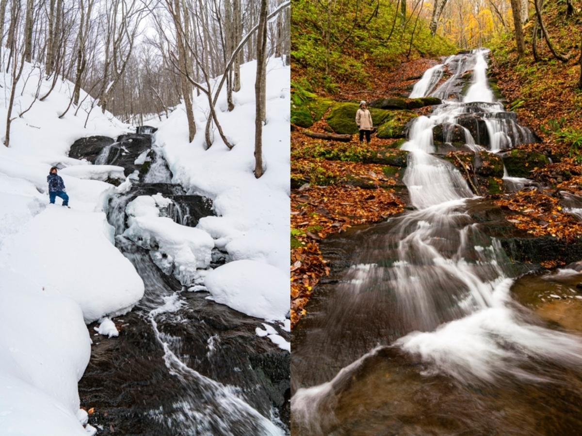 f:id:oyasumiameko:20210110064324j:plain