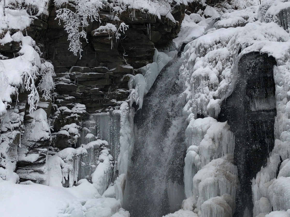 f:id:oyasumiameko:20210111135131j:plain