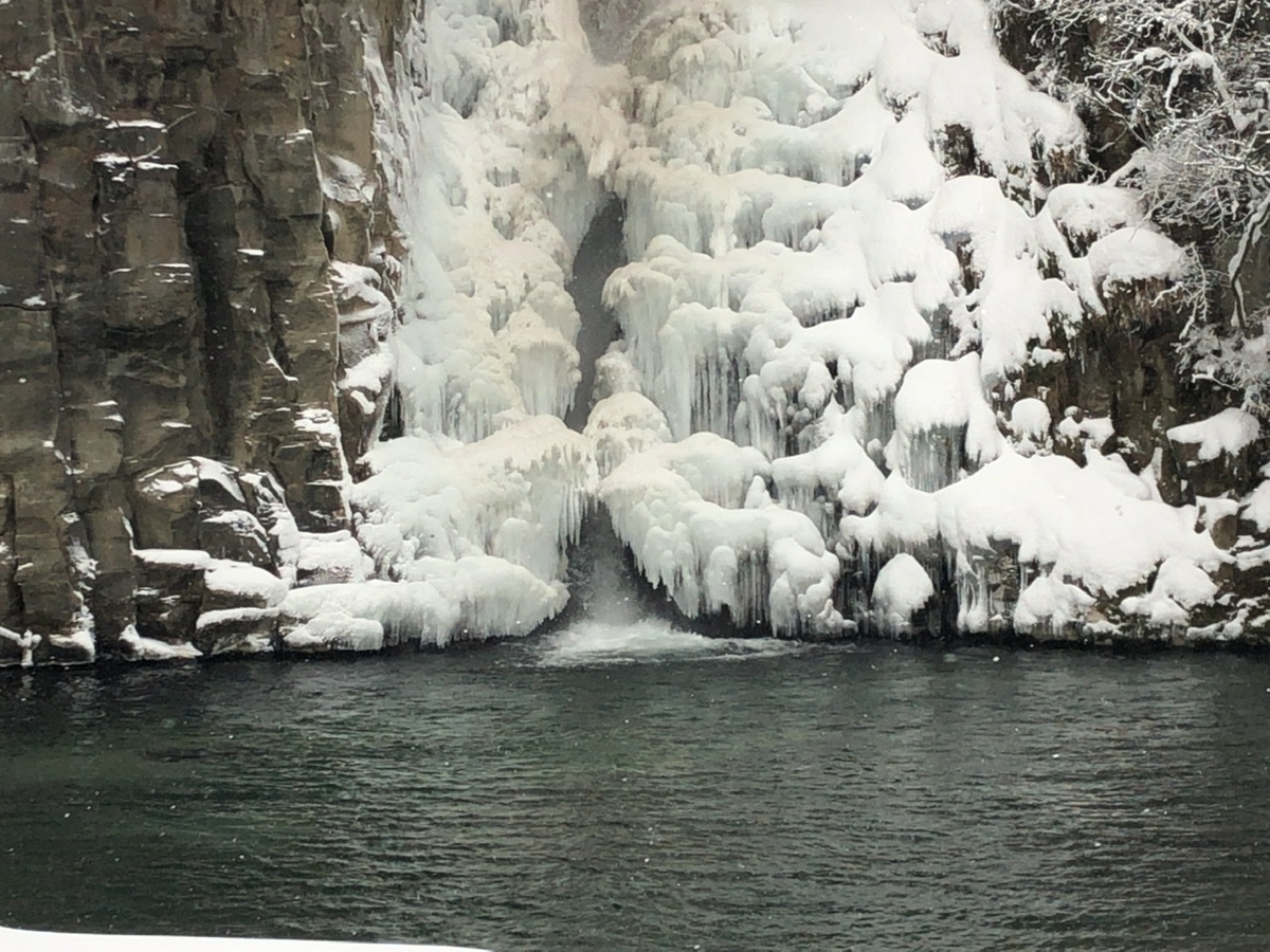 f:id:oyasumiameko:20210111135801j:plain