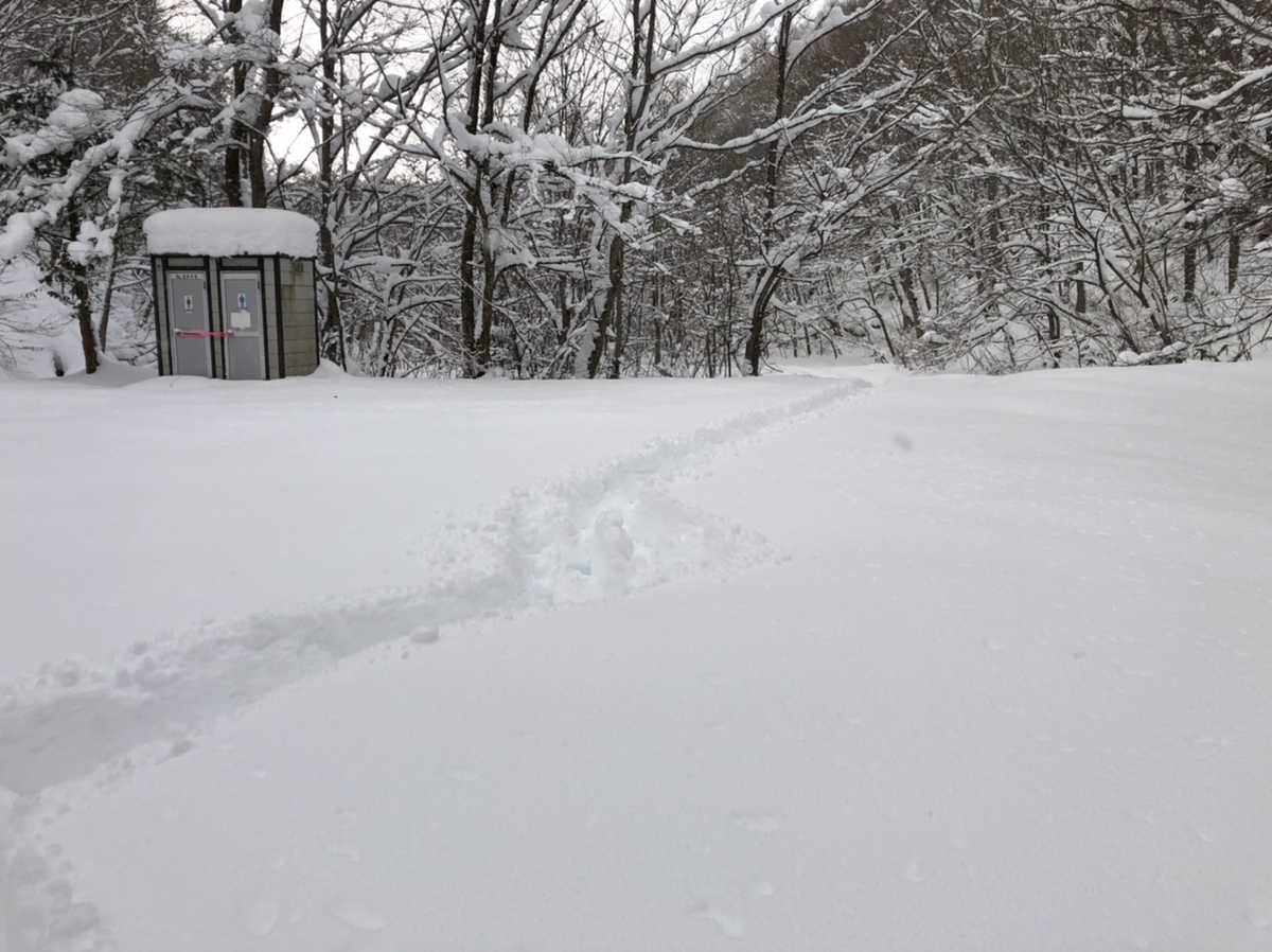 f:id:oyasumiameko:20210111140726j:plain