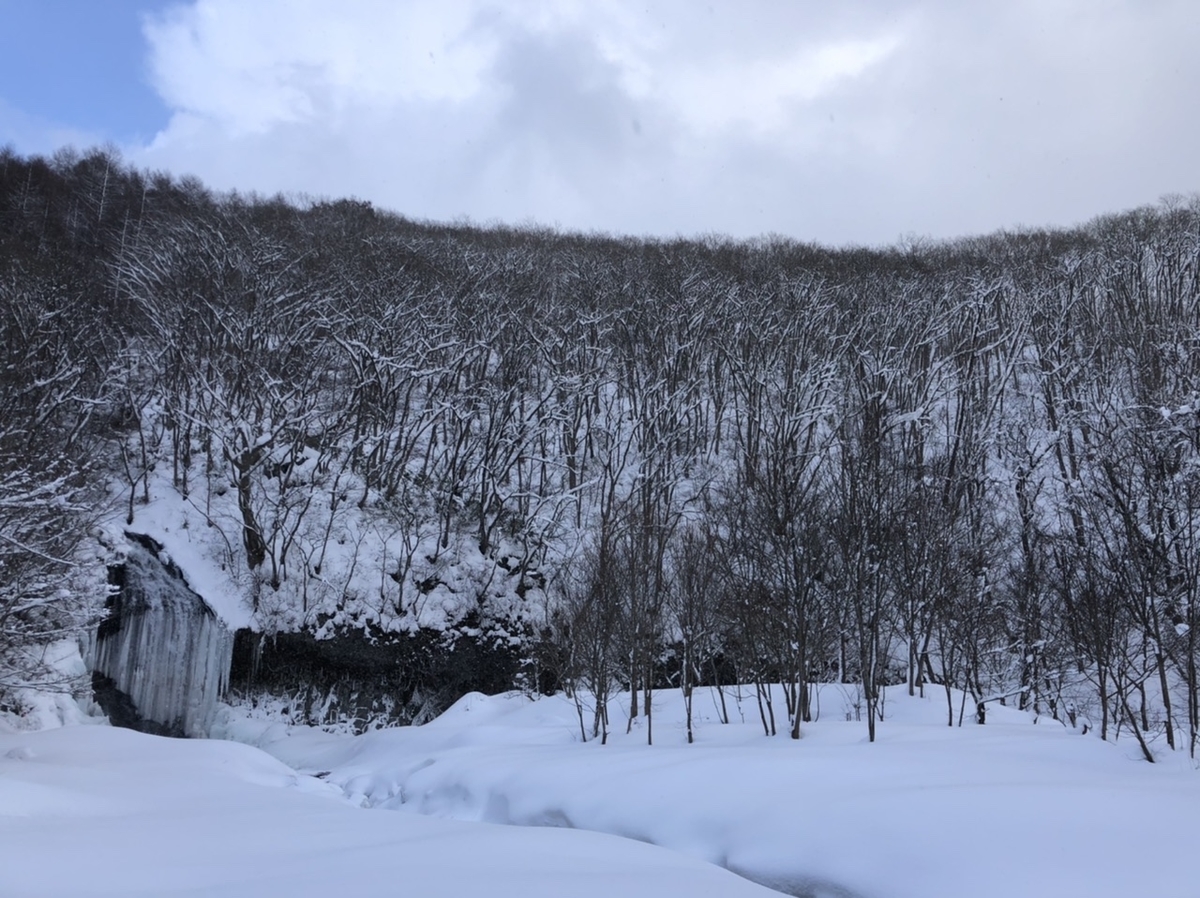 f:id:oyasumiameko:20210111140832j:plain