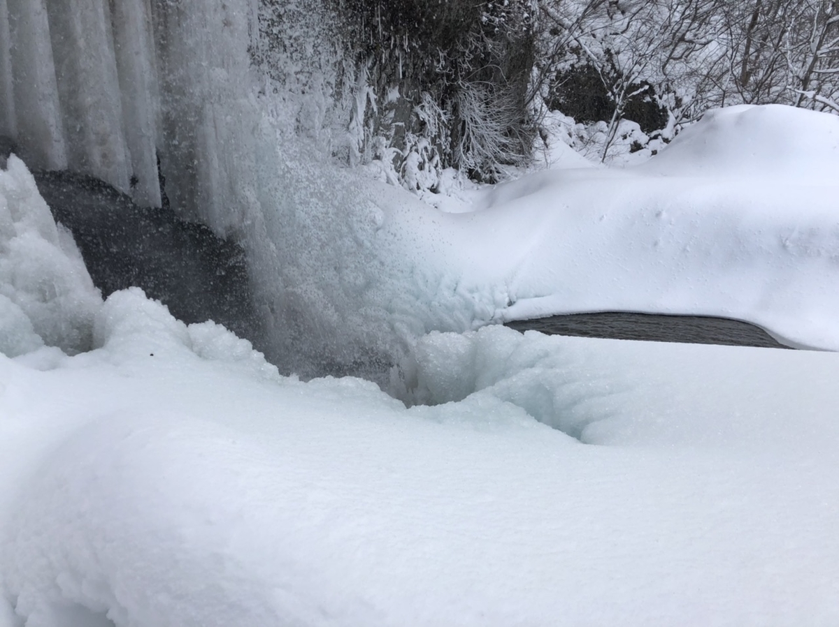 f:id:oyasumiameko:20210111141428j:plain