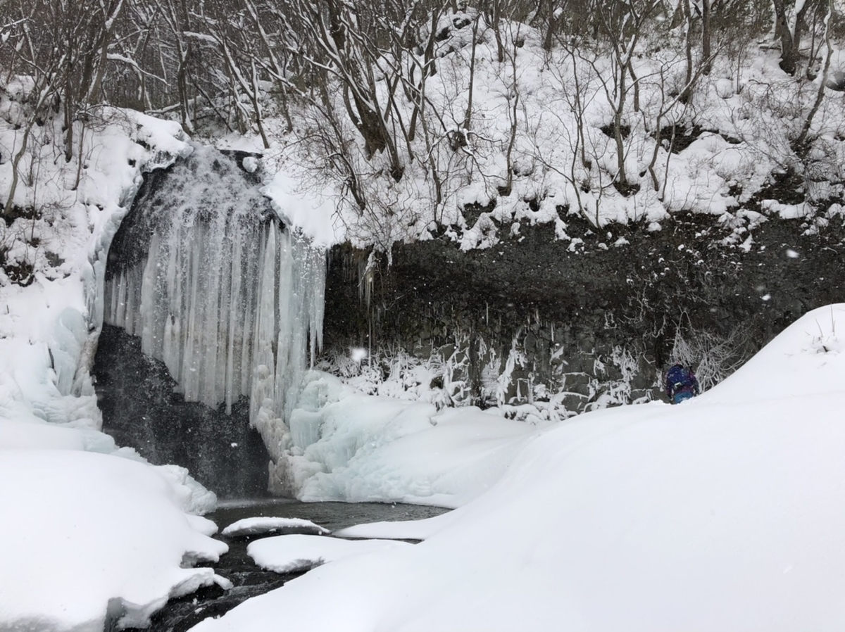 f:id:oyasumiameko:20210111142208j:plain