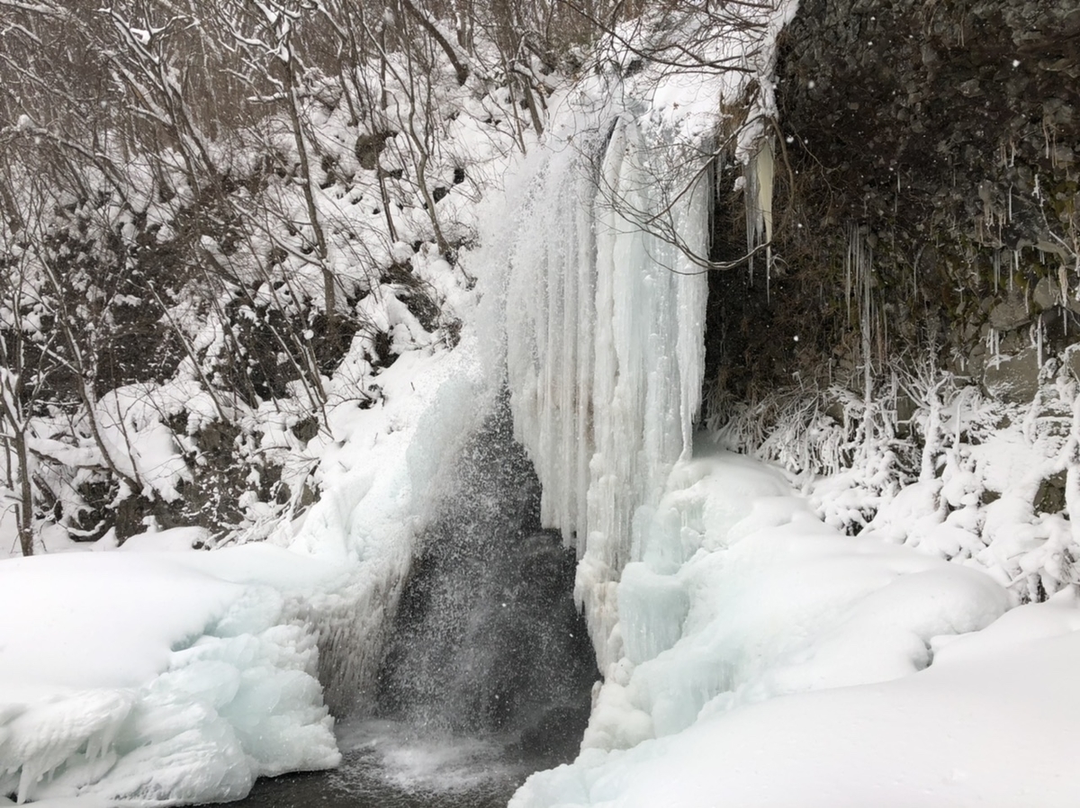 f:id:oyasumiameko:20210111142834j:plain