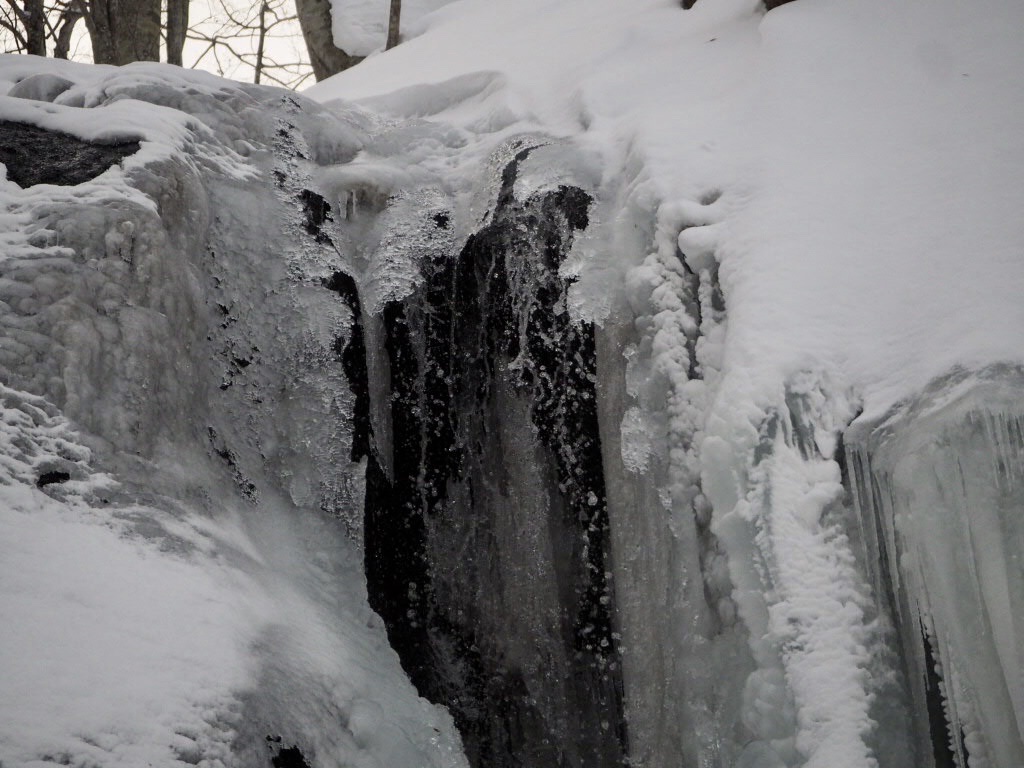 f:id:oyasumiameko:20210114210231j:plain