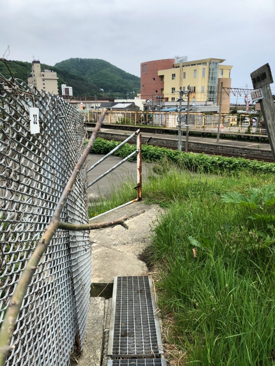 f:id:oyasumiameko:20210523180508j:plain