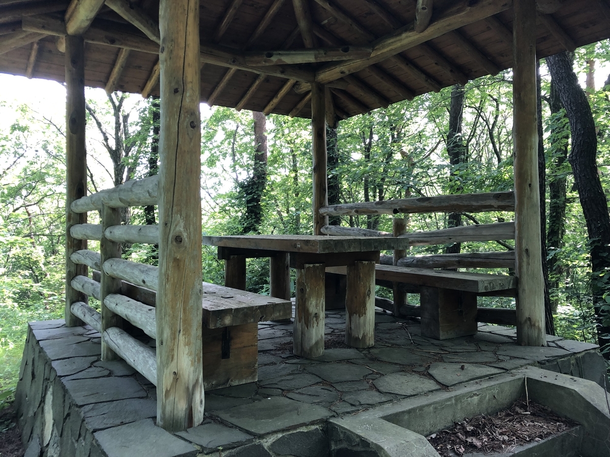 f:id:oyasumiameko:20210711131414j:plain