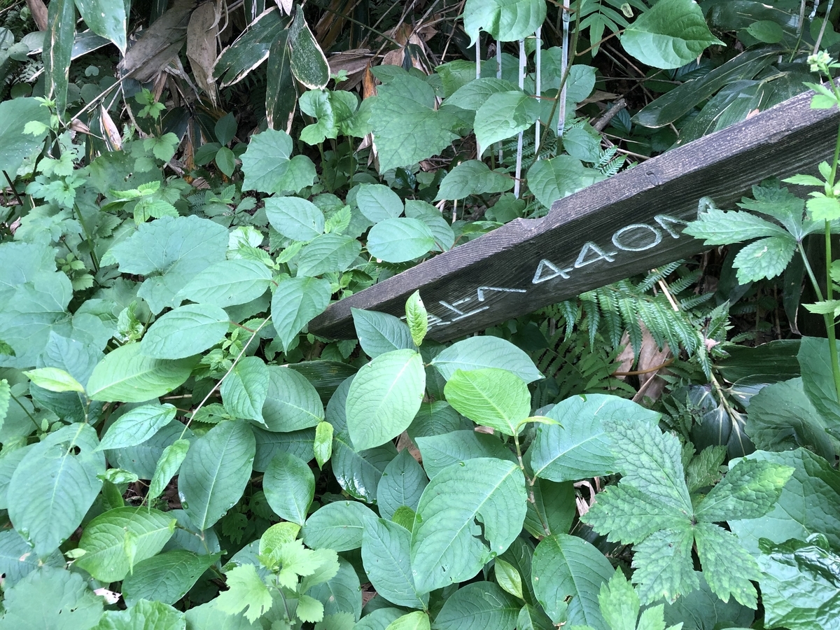 f:id:oyasumiameko:20210711132007j:plain