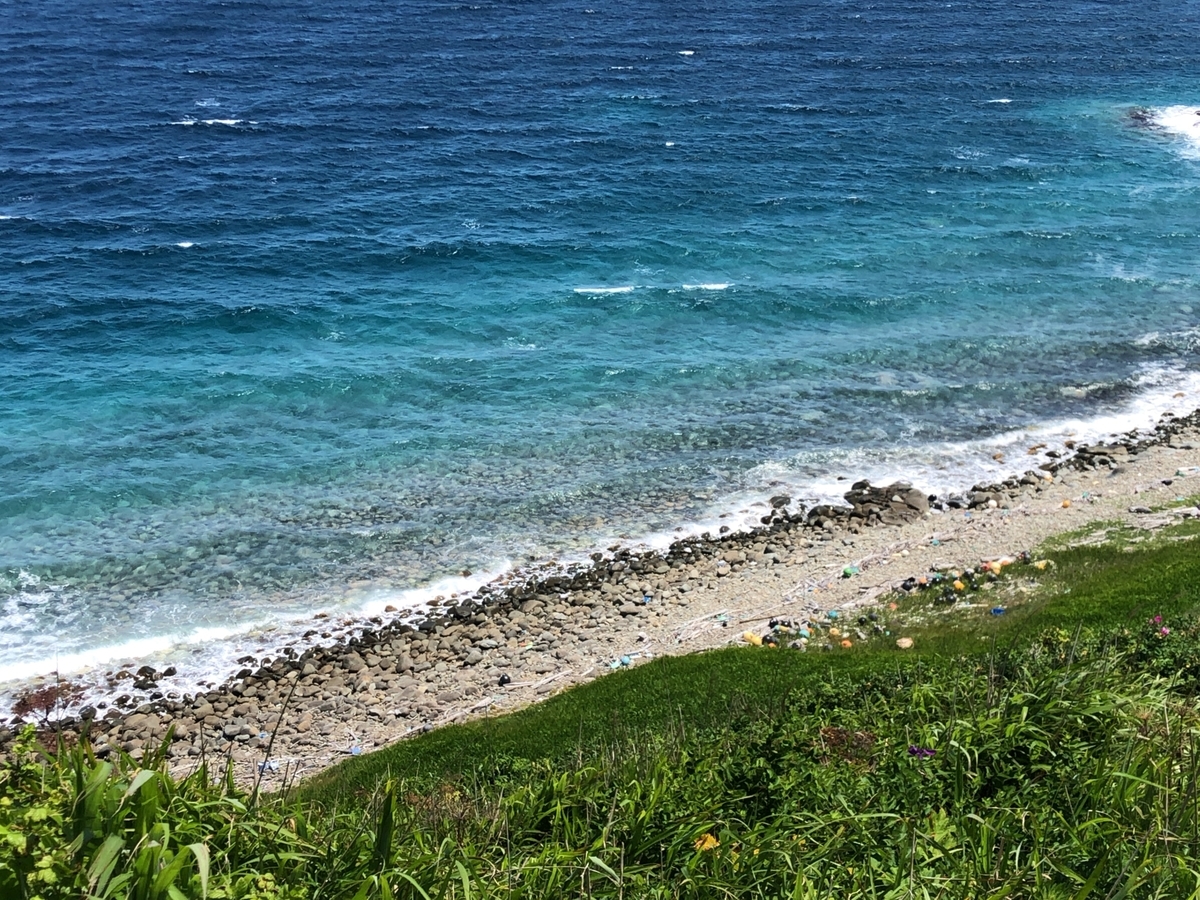 f:id:oyasumiameko:20210711135759j:plain