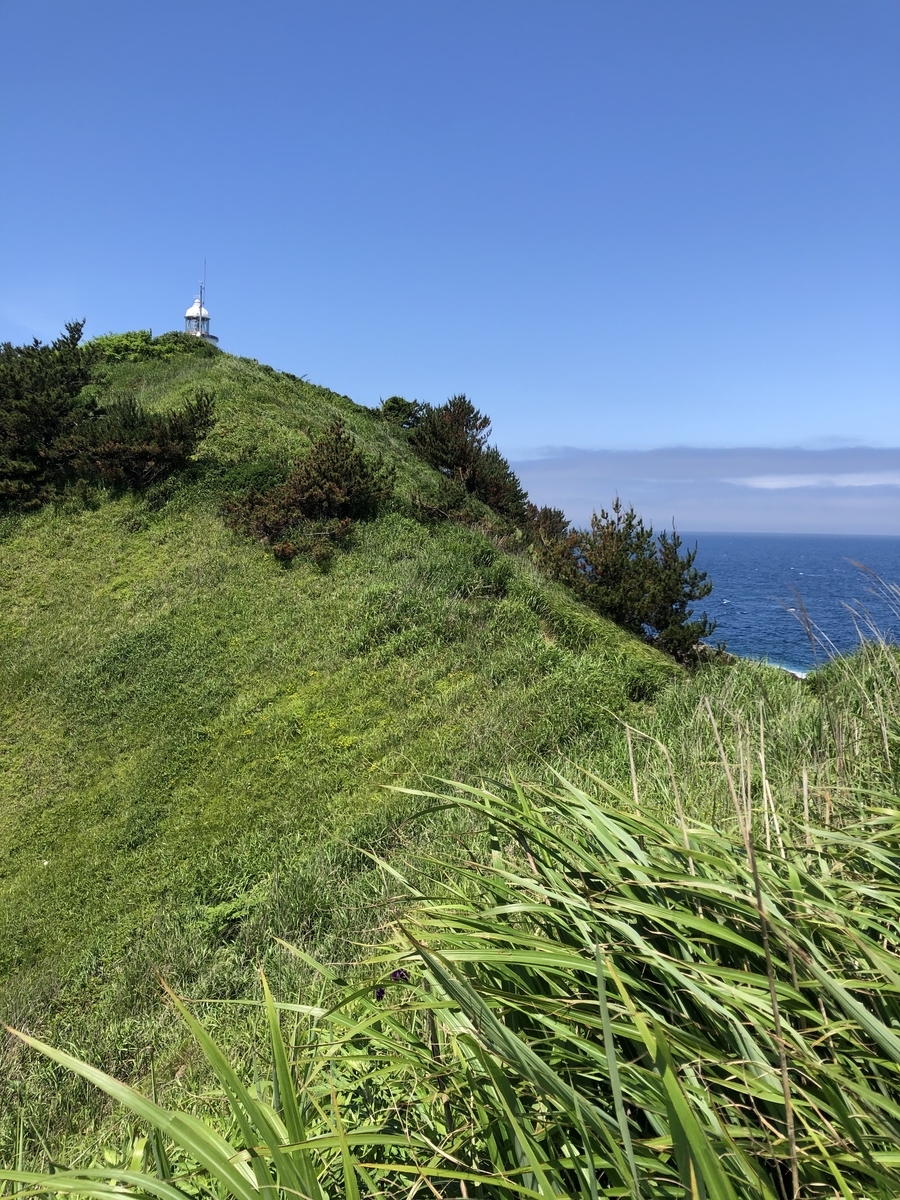 f:id:oyasumiameko:20210711141125j:plain