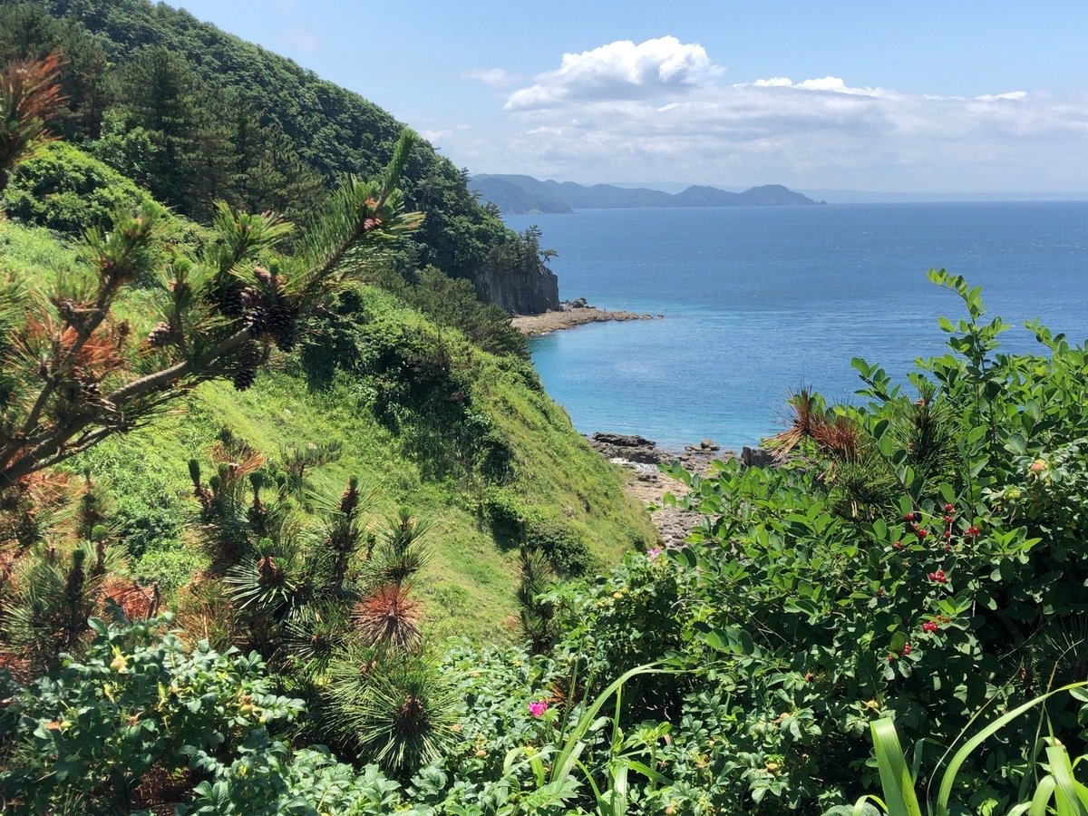 f:id:oyasumiameko:20210711141355j:plain