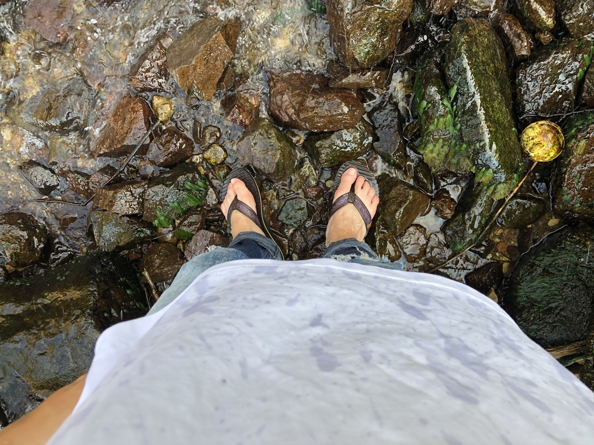 f:id:oyasumiameko:20210818211150j:plain