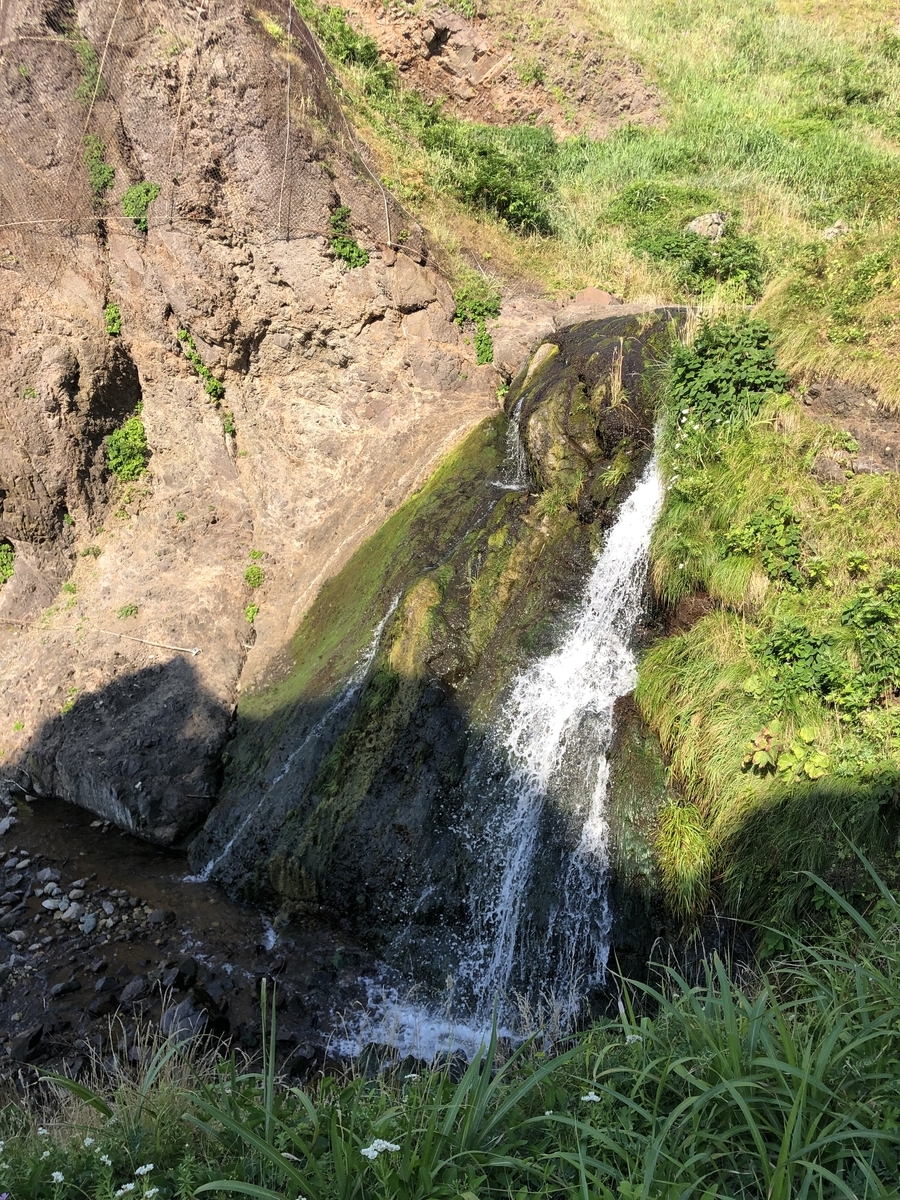 f:id:oyasumiameko:20210818211654j:plain