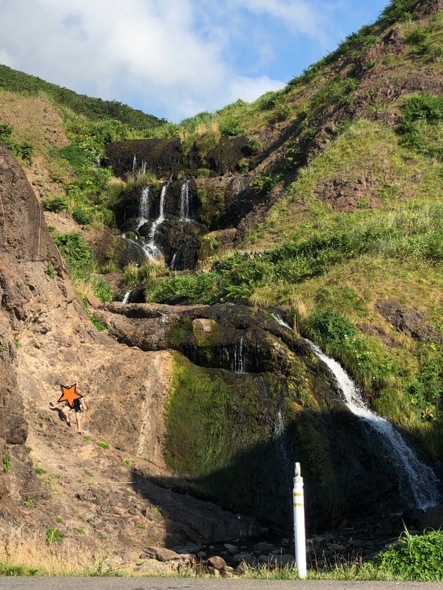 f:id:oyasumiameko:20210818212352j:plain