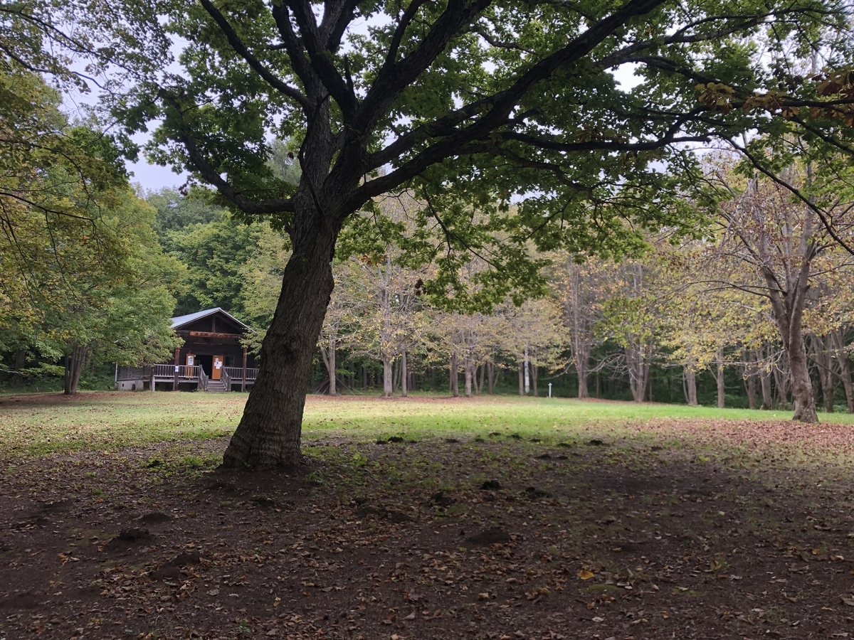 f:id:oyasumiameko:20211008210958j:plain