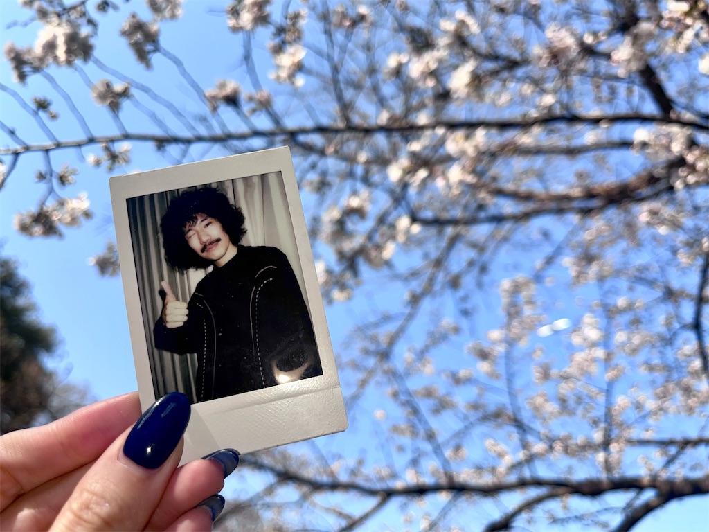 f:id:oyasumimonami:20260322021018j:image
