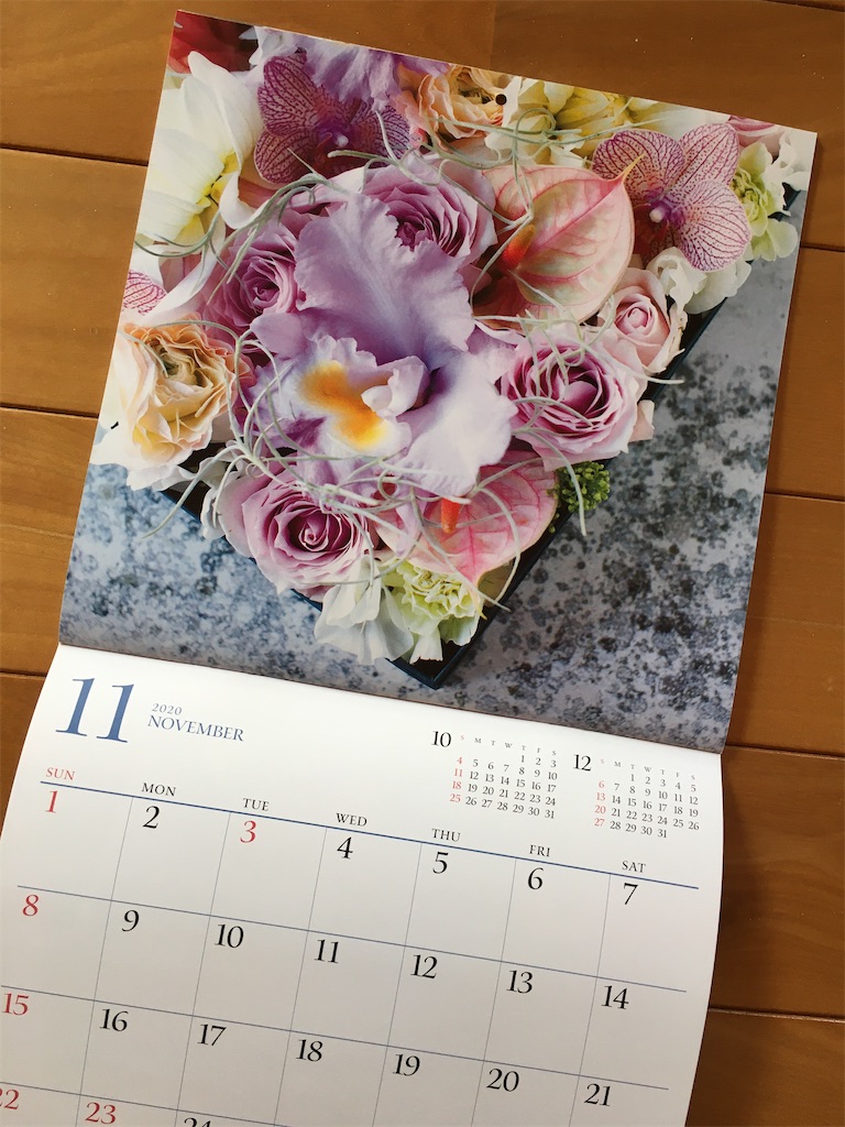 f:id:oyasuminminzemi:20201004130030j:image f:id:oyasuminminzemi:20201004130030j:image