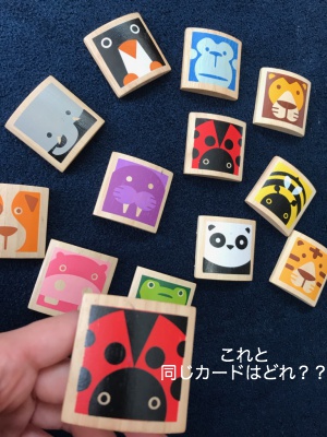 f:id:oyasumitan:20190312132450j:plain