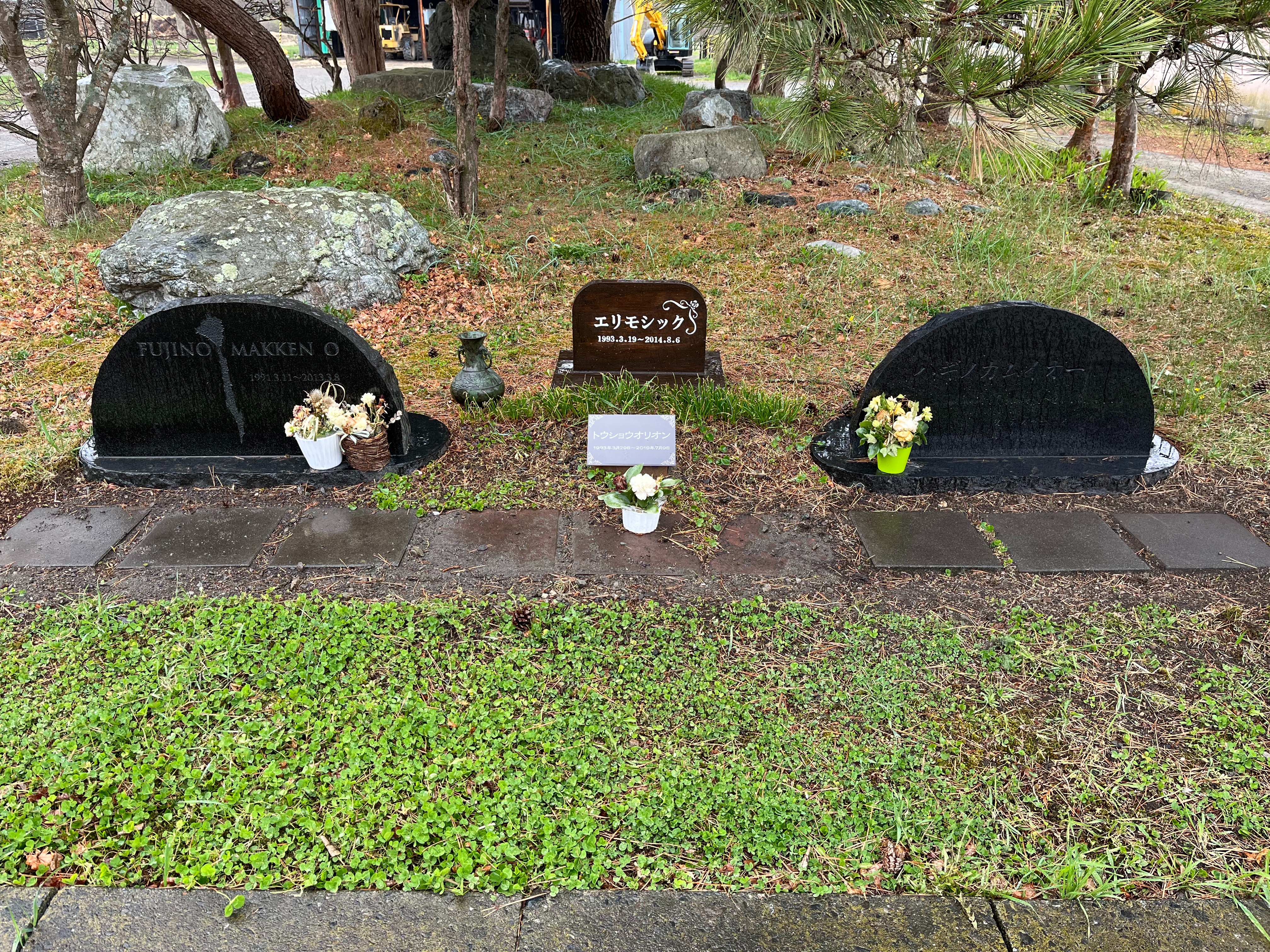 f:id:oyatsu_san:20220507192748j:image f:id:oyatsu_san:20220507192748j:image