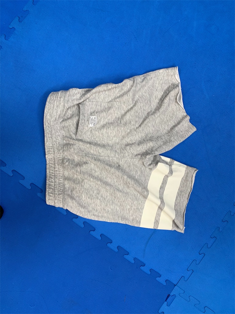 f:id:oyazikick:20191020233257j:image