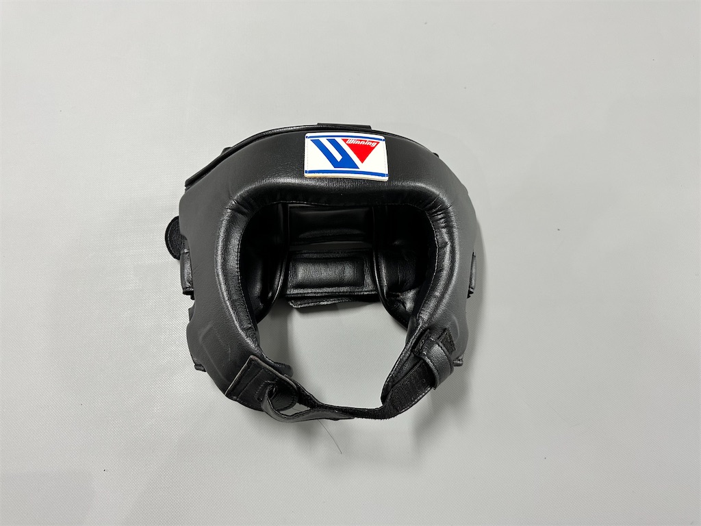 f:id:oyazikick:20230327120233j:image