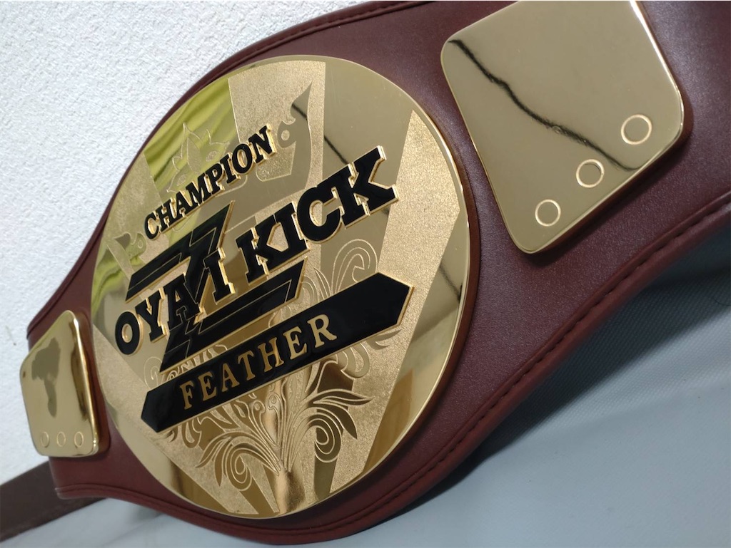 f:id:oyazikick:20230906020516j:image