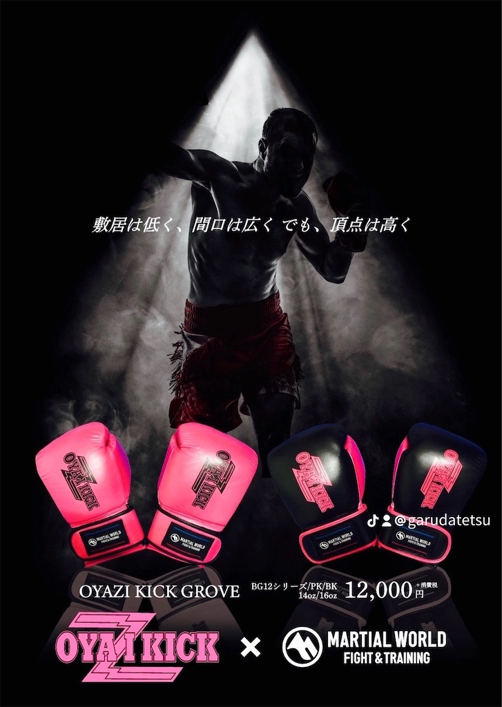 f:id:oyazikick:20240201120842j:image