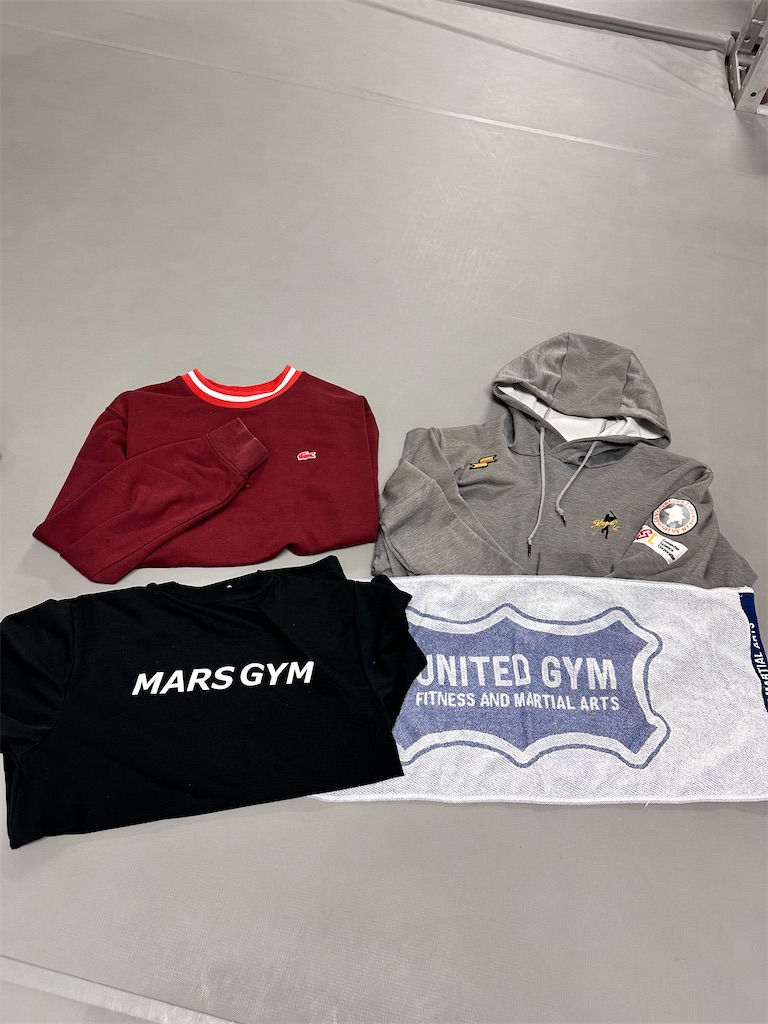 f:id:oyazikick:20240408154240j:image