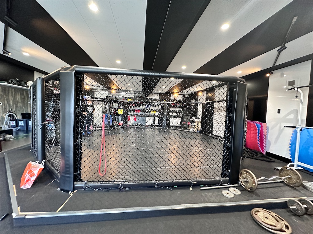 f:id:oyazikick:20241006094301j:image