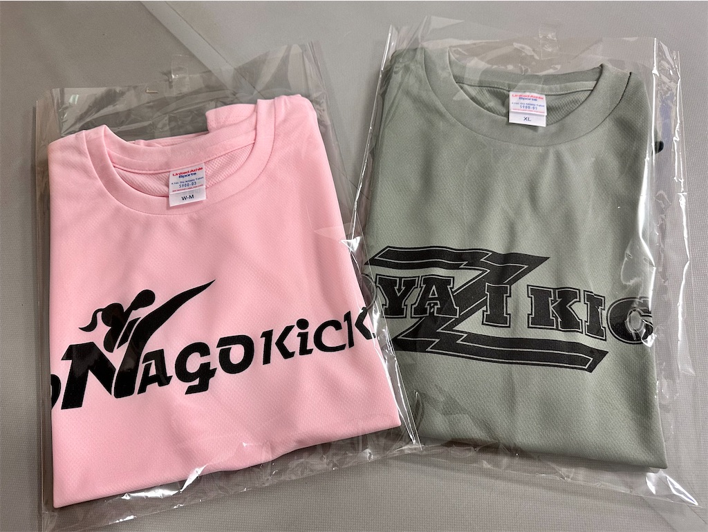 f:id:oyazikick:20241014083428j:image