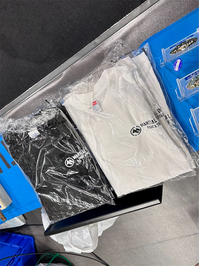 f:id:oyazikick:20241014083431j:image