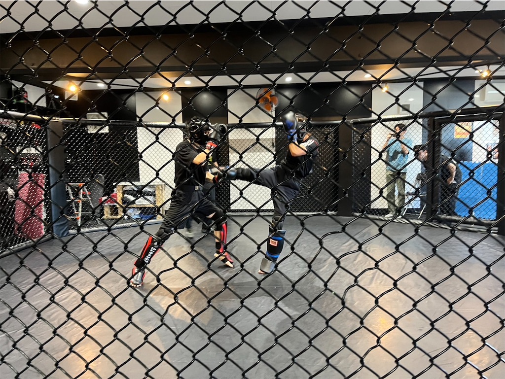 f:id:oyazikick:20241014084807j:image