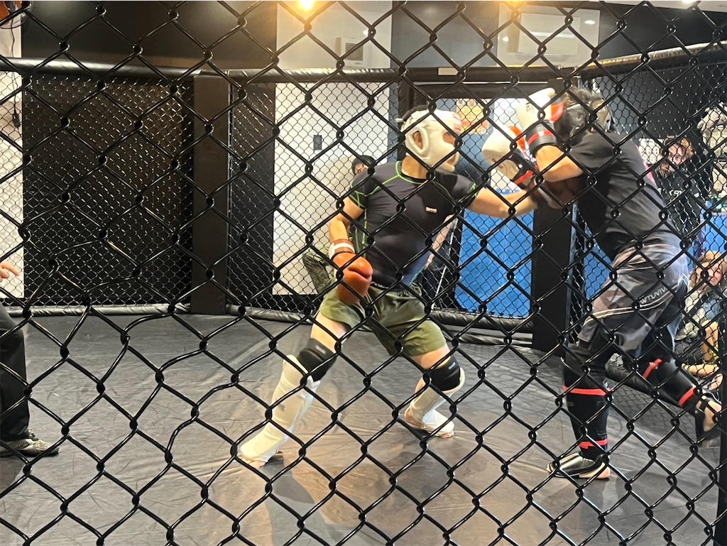 f:id:oyazikick:20241014084810j:image