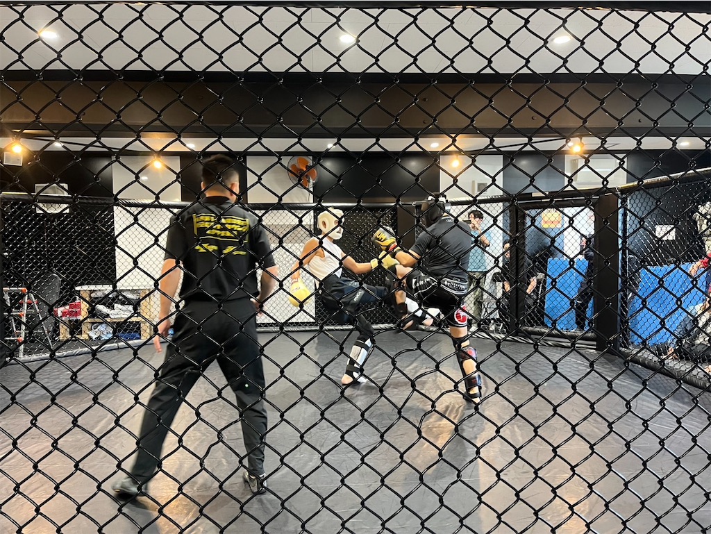 f:id:oyazikick:20241014084814j:image