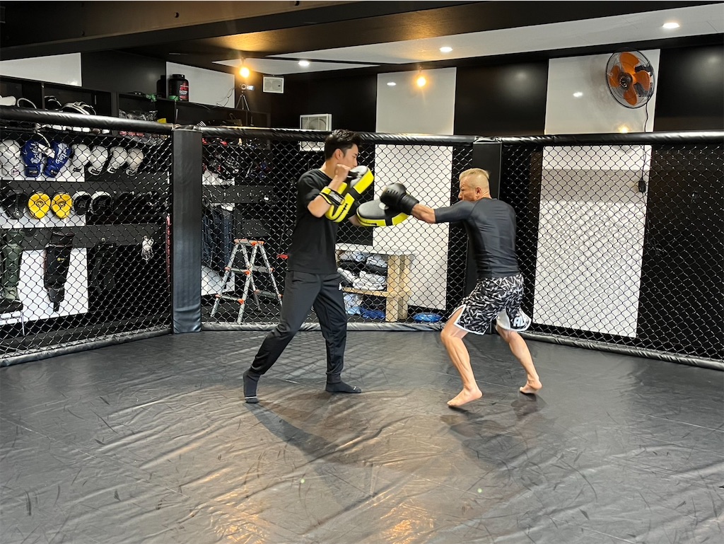 f:id:oyazikick:20241014084817j:image