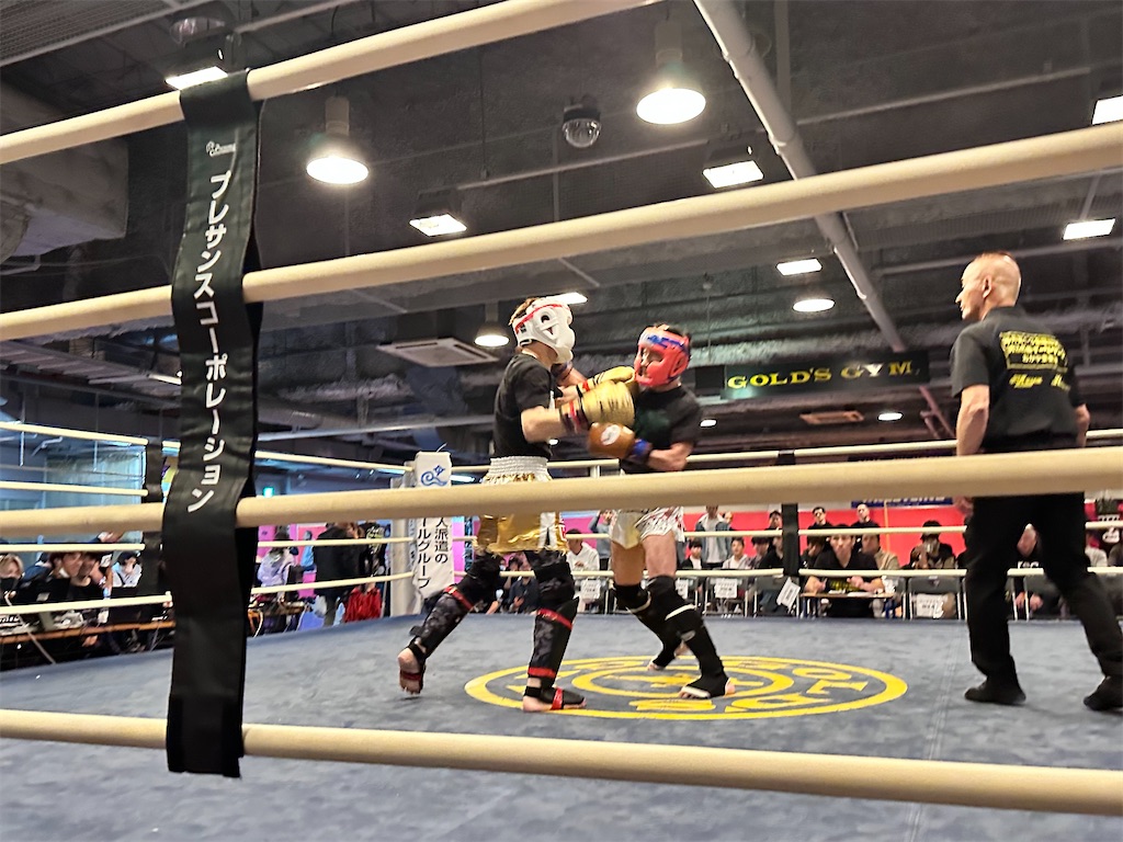 f:id:oyazikick:20241125225611j:image