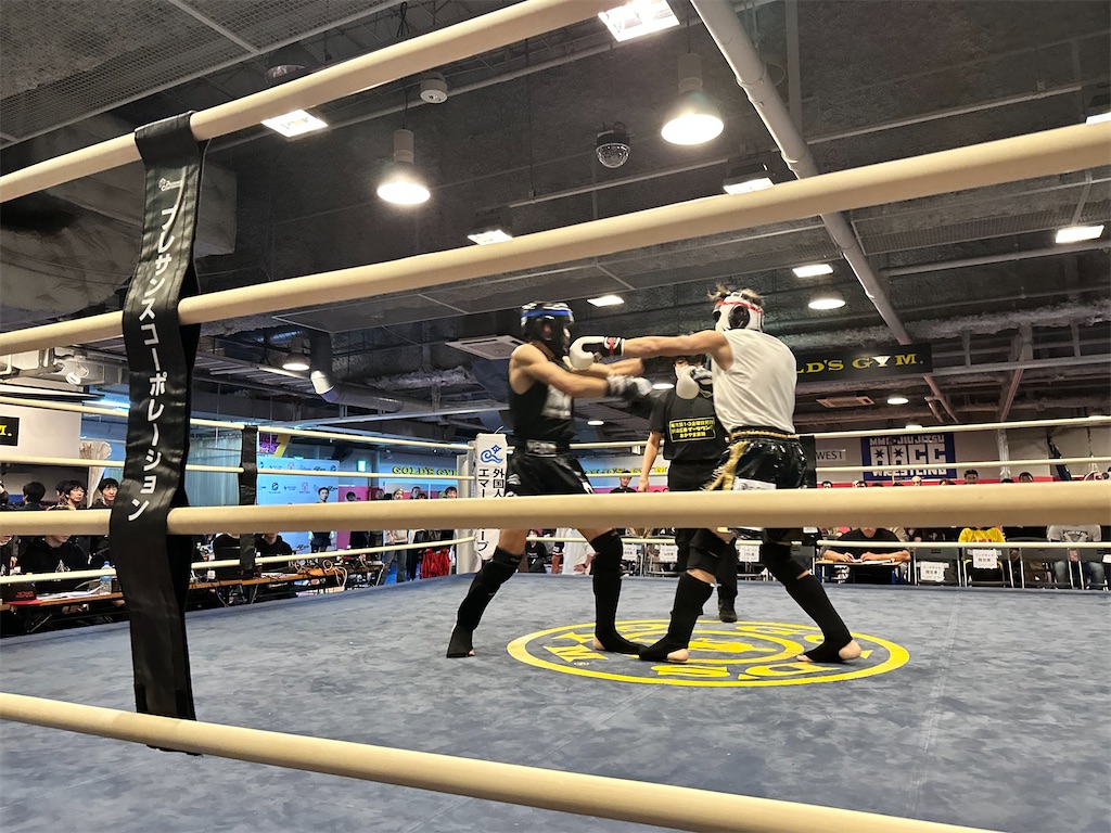 f:id:oyazikick:20241125225614j:image