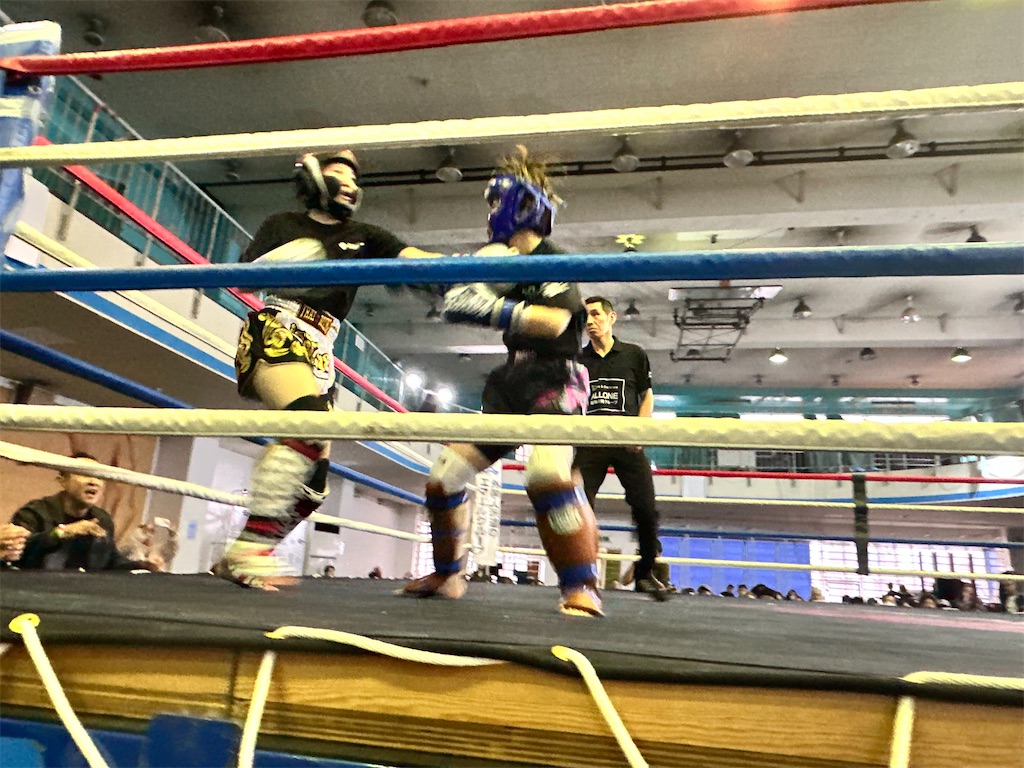 f:id:oyazikick:20251111075413j:image f:id:oyazikick:20251111075413j:image