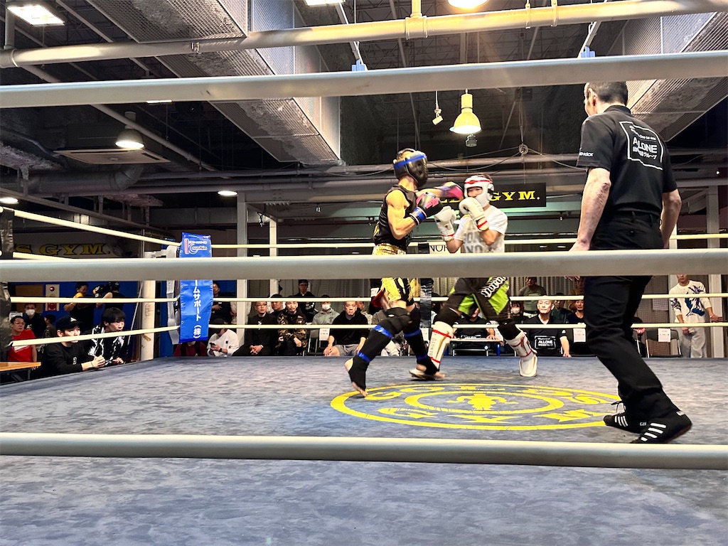 f:id:oyazikick:20251118113113j:image f:id:oyazikick:20251118113113j:image