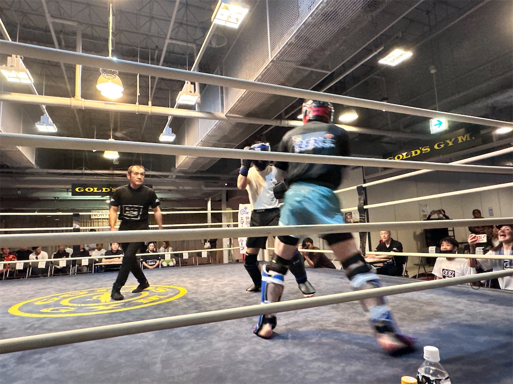 f:id:oyazikick:20251118113133j:image f:id:oyazikick:20251118113133j:image