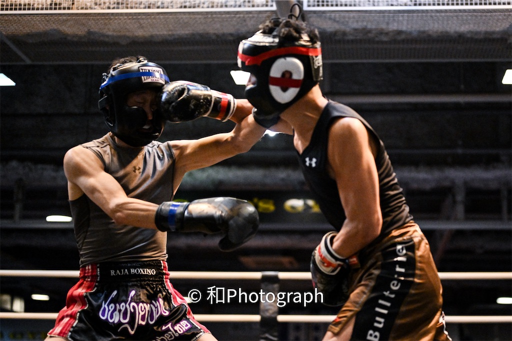 f:id:oyazikick:20251119101950j:image f:id:oyazikick:20251119101950j:image