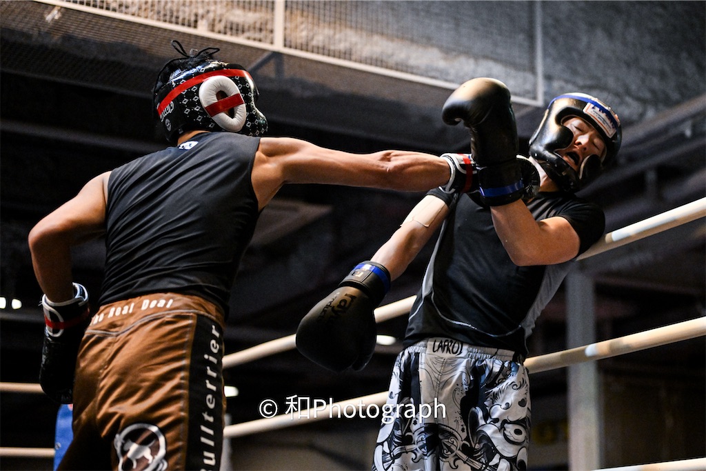 f:id:oyazikick:20251119101957j:image f:id:oyazikick:20251119101957j:image