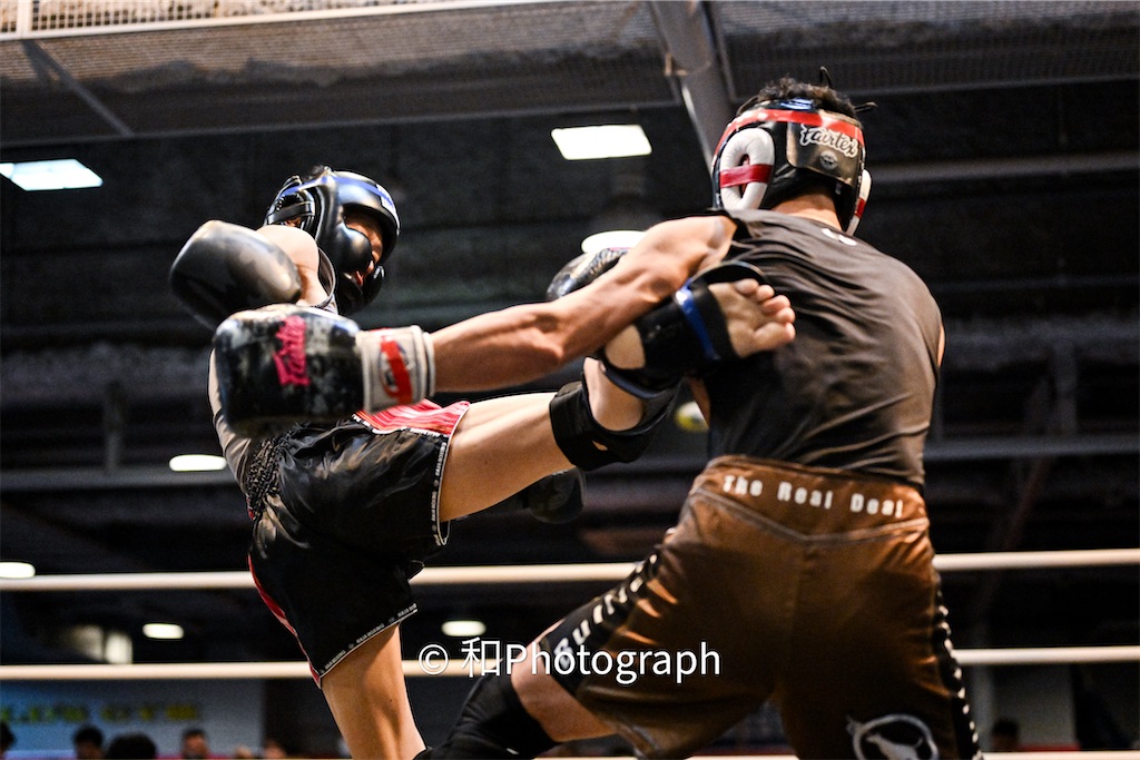 f:id:oyazikick:20251119102007j:image f:id:oyazikick:20251119102007j:image