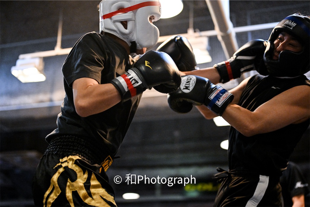 f:id:oyazikick:20251119102016j:image f:id:oyazikick:20251119102016j:image