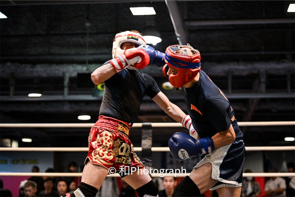 f:id:oyazikick:20251119102018j:image f:id:oyazikick:20251119102018j:image