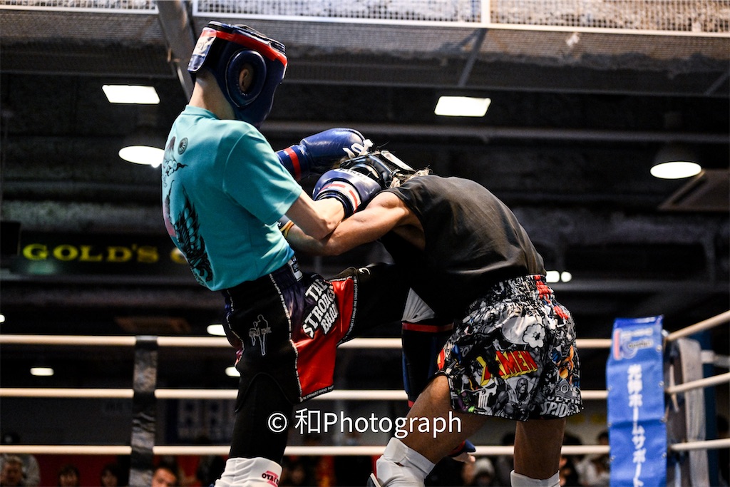 f:id:oyazikick:20251119102030j:image f:id:oyazikick:20251119102030j:image