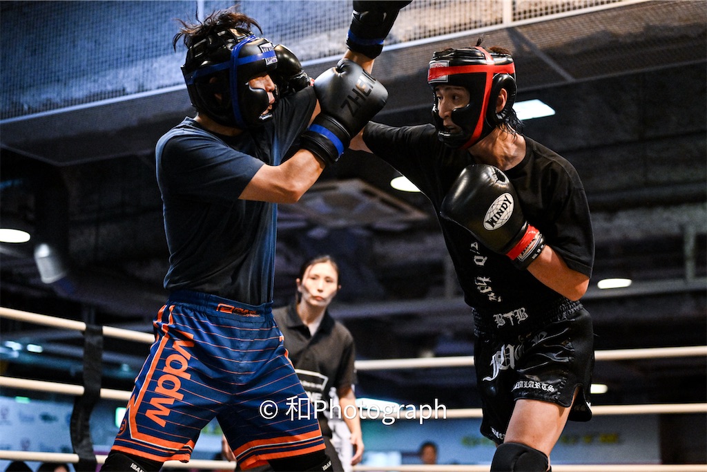 f:id:oyazikick:20251119102154j:image f:id:oyazikick:20251119102154j:image