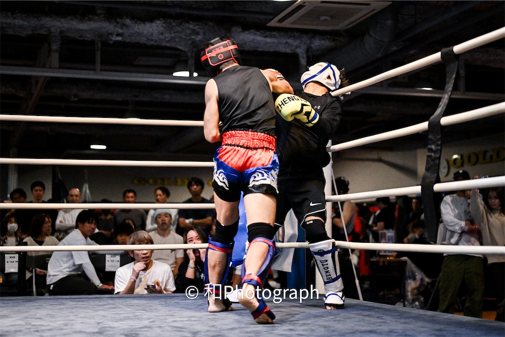 f:id:oyazikick:20251119102219j:image f:id:oyazikick:20251119102219j:image