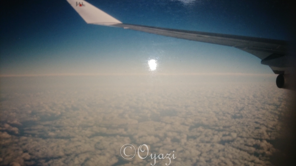 f:id:oyazirogu:20190129210500j:plain f:id:oyazirogu:20190129210500j:plain